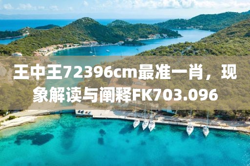王中王72396cm最准一肖，现象解读与阐释FK703.096