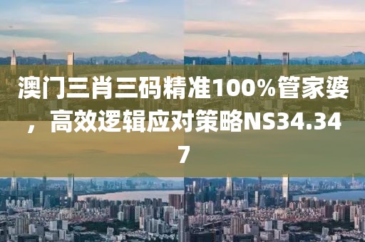 澳门三肖三码精准100%管家婆，高效逻辑应对策略NS34.347