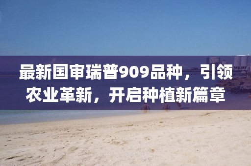 最新国审瑞普909品种，引领农业革新，开启种植新篇章