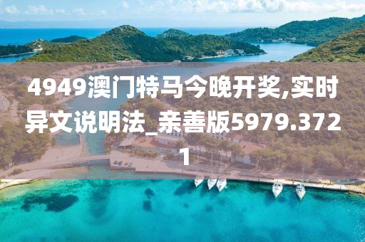 4949澳门特马今晚开奖,实时异文说明法_亲善版5979.3721