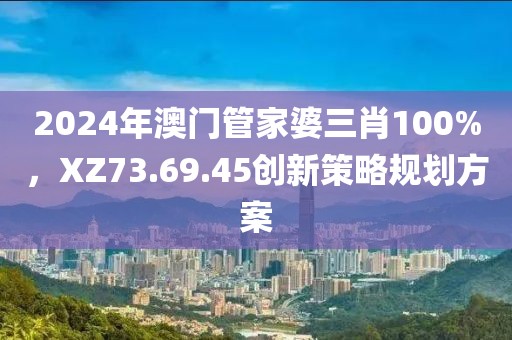 2024年澳门管家婆三肖100%，XZ73.69.45创新策略规划方案