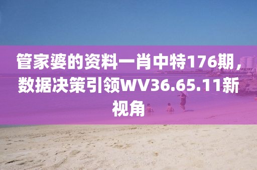 管家婆的资料一肖中特176期，数据决策引领WV36.65.11新视角