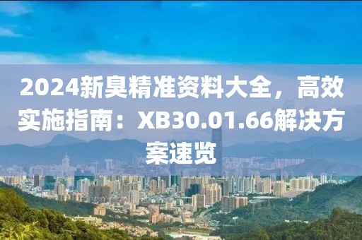 2024新臭精准资料大全，高效实施指南：XB30.01.66解决方案速览