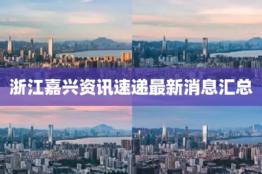 浙江嘉兴资讯速递最新消息汇总