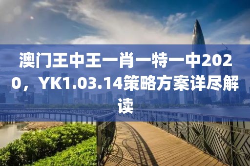 澳门王中王一肖一特一中2020，YK1.03.14策略方案详尽解读