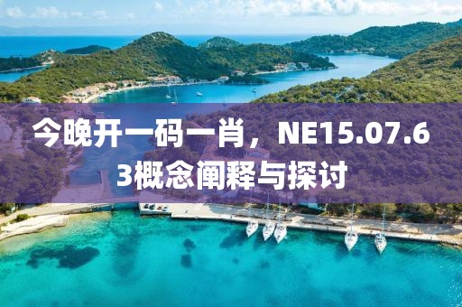 今晚开一码一肖，NE15.07.63概念阐释与探讨
