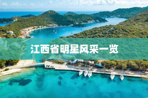 江西省明星风采一览