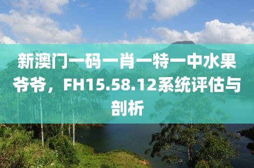新澳门一码一肖一特一中水果爷爷，FH15.58.12系统评估与剖析