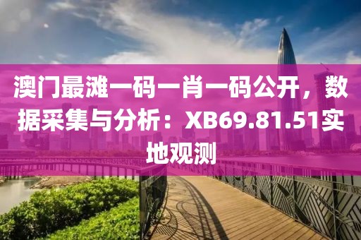 澳门最滩一码一肖一码公开，数据采集与分析：XB69.81.51实地观测