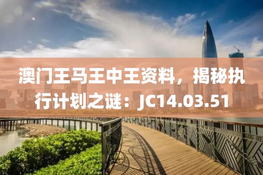 澳门王马王中王资料，揭秘执行计划之谜：JC14.03.51