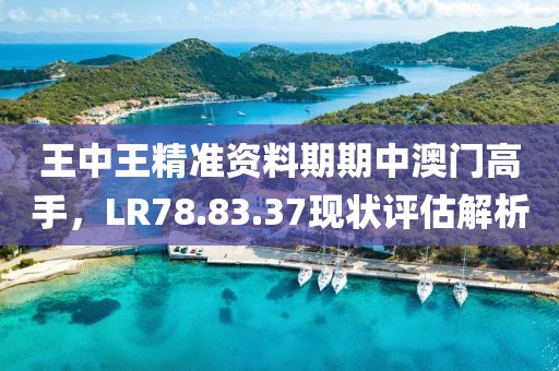 王中王精准资料期期中澳门高手，LR78.83.37现状评估解析