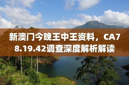 新澳门今晚王中王资料，CA78.19.42调查深度解析解读