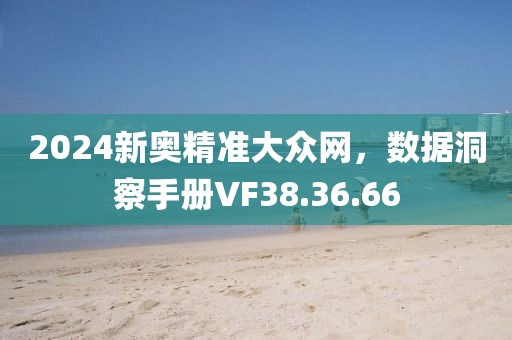 2024新奥精准大众网，数据洞察手册VF38.36.66