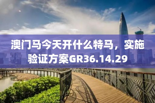 澳门马今天开什么特马，实施验证方案GR36.14.29