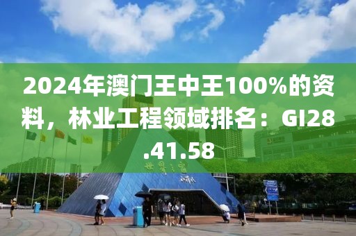 2024年澳门王中王100%的资料，林业工程领域排名：GI28.41.58