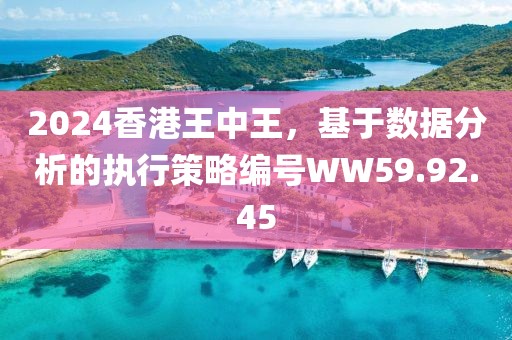 2024香港王中王，基于数据分析的执行策略编号WW59.92.45