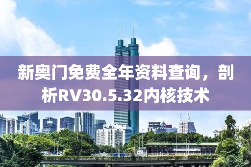 新奥门免费全年资料查询，剖析RV30.5.32内核技术
