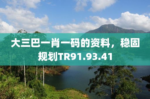 大三巴一肖一码的资料，稳固规划TR91.93.41