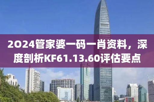 2O24管家婆一码一肖资料，深度剖析KF61.13.60评估要点