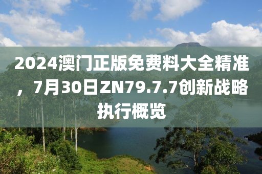 2024澳门正版免费料大全精准，7月30日ZN79.7.7创新战略执行概览