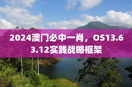 2024澳门必中一肖，OS13.63.12实践战略框架
