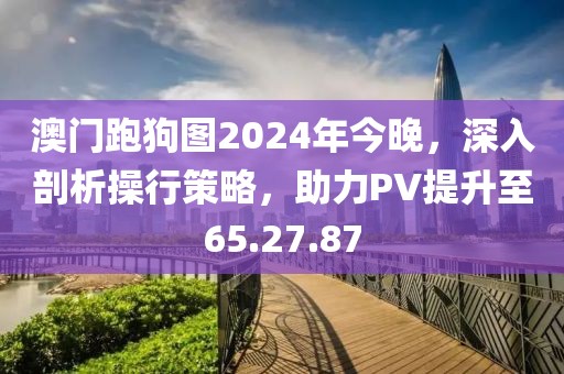 澳门跑狗图2024年今晚，深入剖析操行策略，助力PV提升至65.27.87
