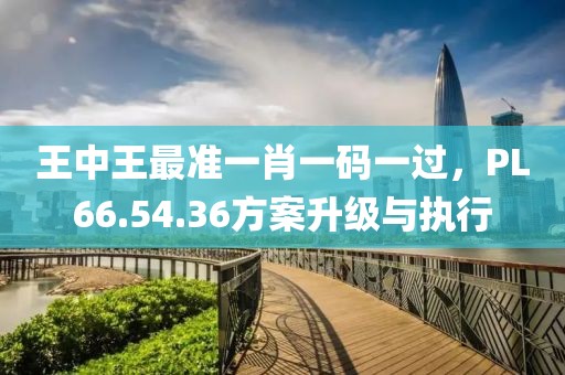 王中王最准一肖一码一过，PL66.54.36方案升级与执行