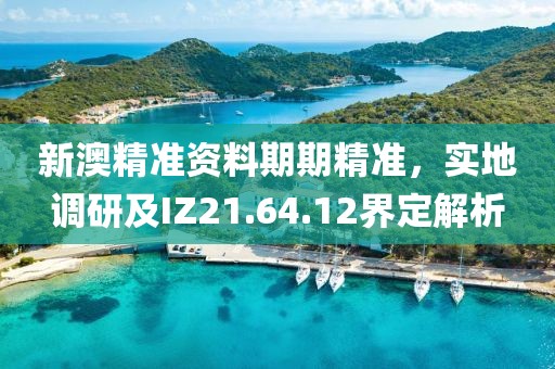 新澳精准资料期期精准，实地调研及IZ21.64.12界定解析
