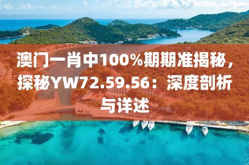 澳门一肖中100%期期准揭秘，探秘YW72.59.56：深度剖析与详述