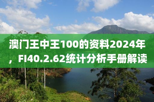 澳门王中王100的资料2024年，FI40.2.62统计分析手册解读