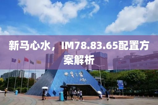 新马心水，IM78.83.65配置方案解析