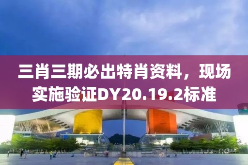三肖三期必出特肖资料，现场实施验证DY20.19.2标准
