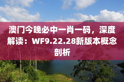 澳门今晚必中一肖一码，深度解读：WF9.22.28新版本概念剖析
