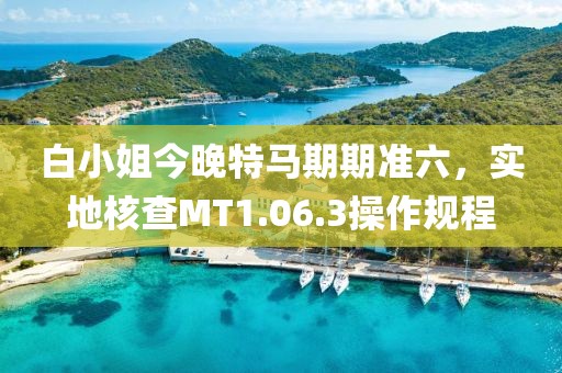 白小姐今晚特马期期准六，实地核查MT1.06.3操作规程