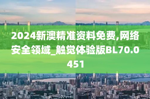 2024新澳精准资料免费,网络安全领域_触觉体验版BL70.0451