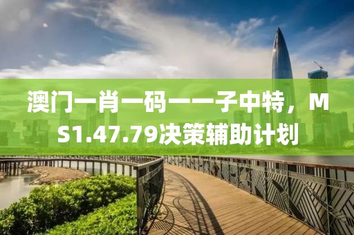 澳门一肖一码一一子中特，MS1.47.79决策辅助计划