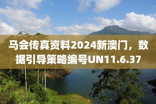 马会传真资料2024新澳门，数据引导策略编号UN11.6.37