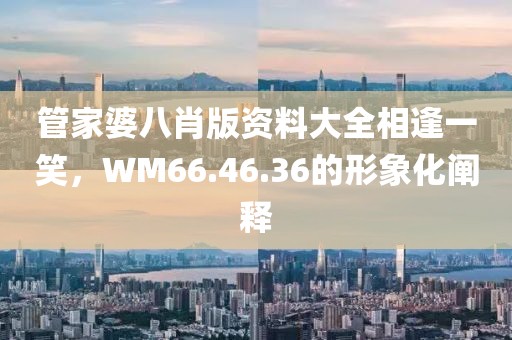 管家婆八肖版资料大全相逢一笑，WM66.46.36的形象化阐释