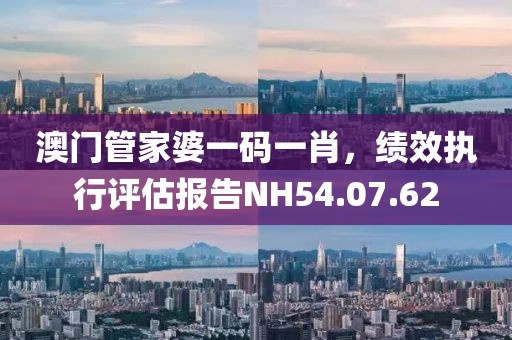 澳门管家婆一码一肖，绩效执行评估报告NH54.07.62