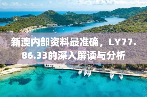 新澳内部资料最准确，LY77.86.33的深入解读与分析
