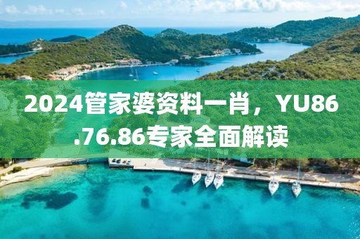 2024管家婆资料一肖，YU86.76.86专家全面解读