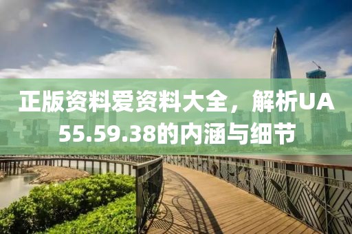 正版资料爱资料大全，解析UA55.59.38的内涵与细节