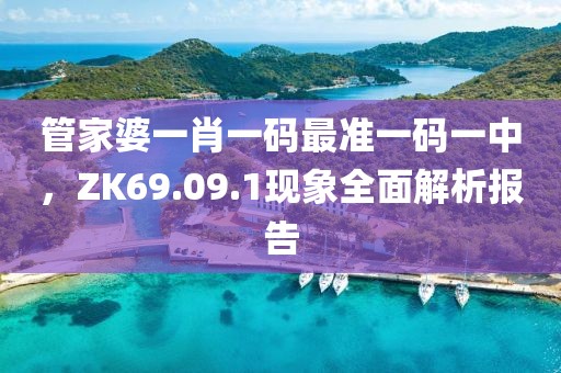 管家婆一肖一码最准一码一中，ZK69.09.1现象全面解析报告