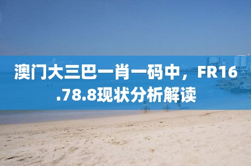 澳门大三巴一肖一码中，FR16.78.8现状分析解读
