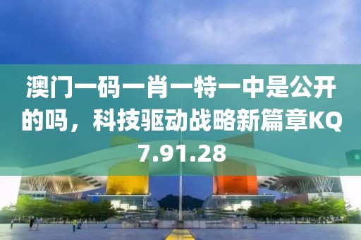 澳门一码一肖一特一中是公开的吗，科技驱动战略新篇章KQ7.91.28