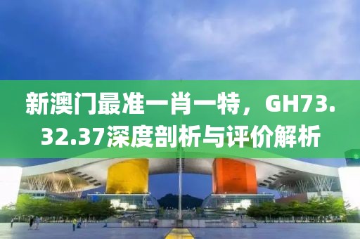 新澳门最准一肖一特，GH73.32.37深度剖析与评价解析