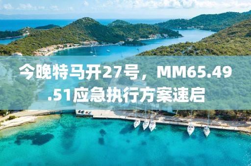 今晚特马开27号，MM65.49.51应急执行方案速启