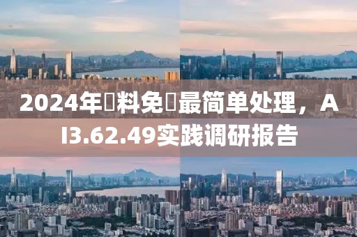 2024年資料免費最简单处理，AI3.62.49实践调研报告