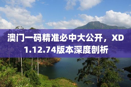 澳门一码精准必中大公开，XD1.12.74版本深度剖析