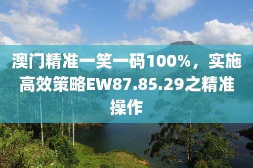 澳门精准一笑一码100%，实施高效策略EW87.85.29之精准操作